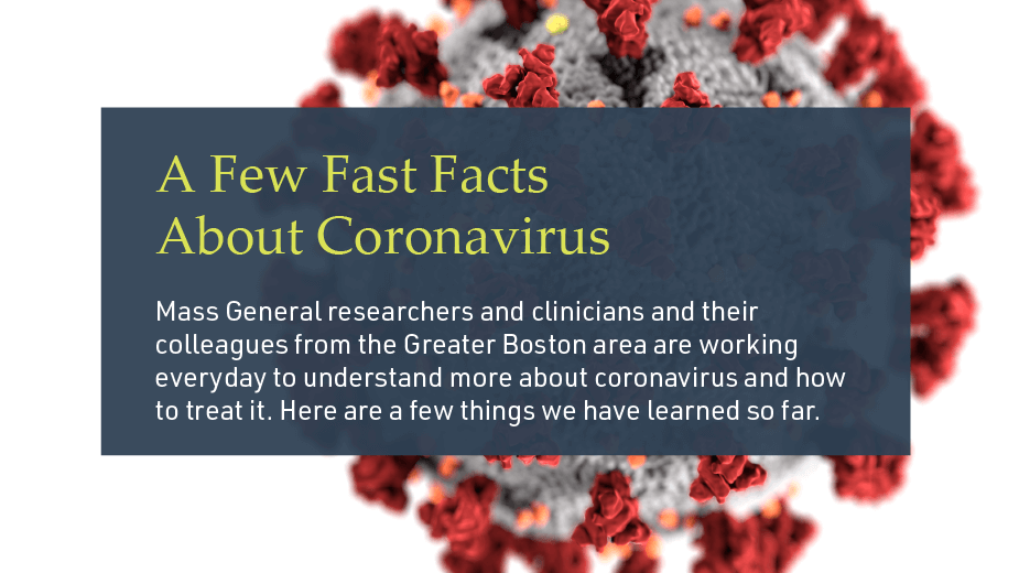 Coronavirus: Fast Facts title slide